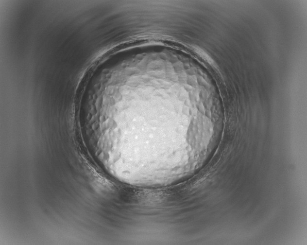 X0000073470831200608111534