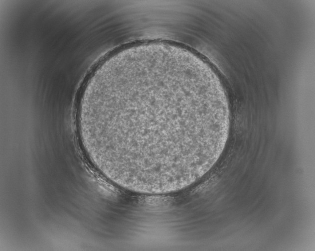 X0000073470832200608111534