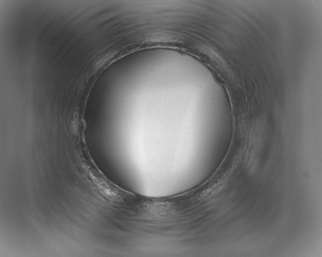 X0000073470833200608111534