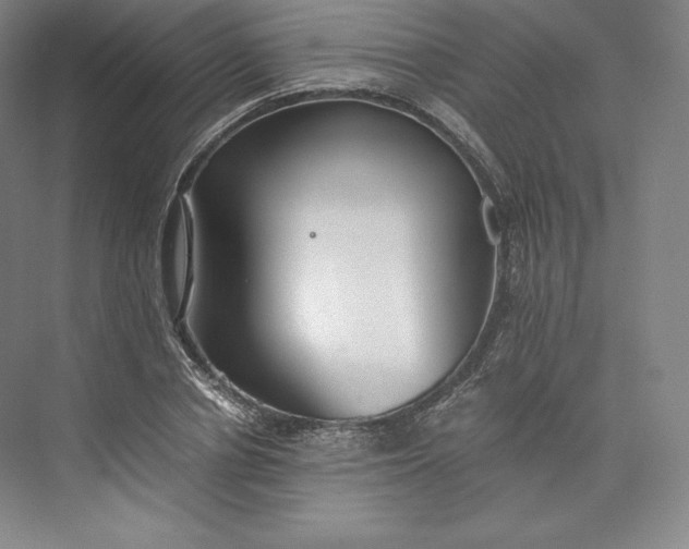 X0000073470834200608111534