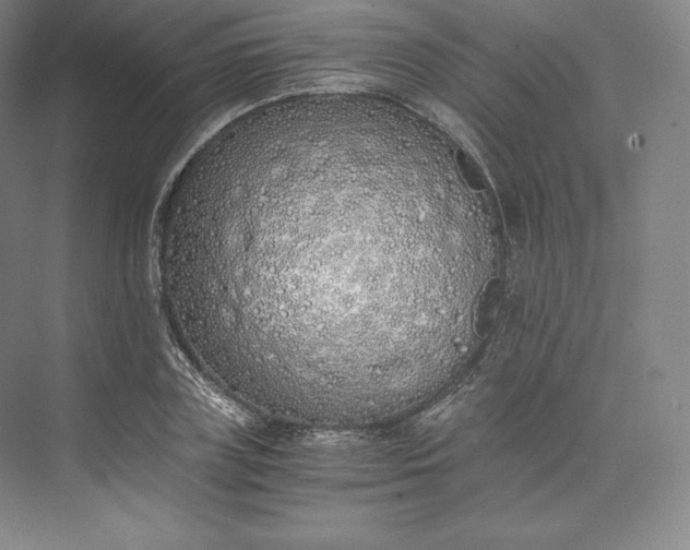 X0000073470835200608111534