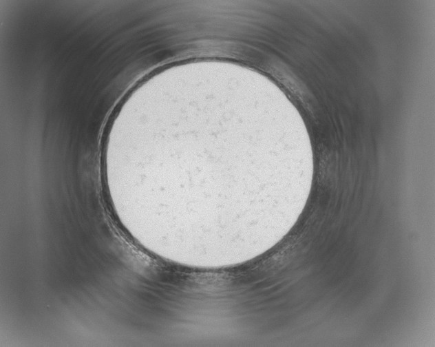 X0000073470836200608111534