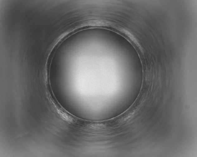 X0000073470837200608111534