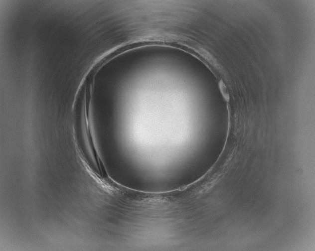 X0000073470838200608111534