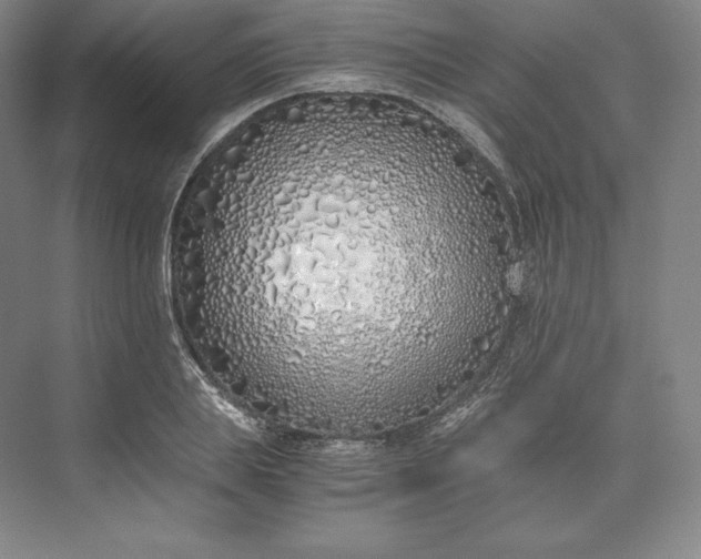 X0000073470839200608111534