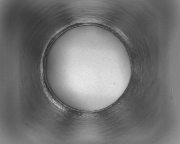 X0000073470840200608111534