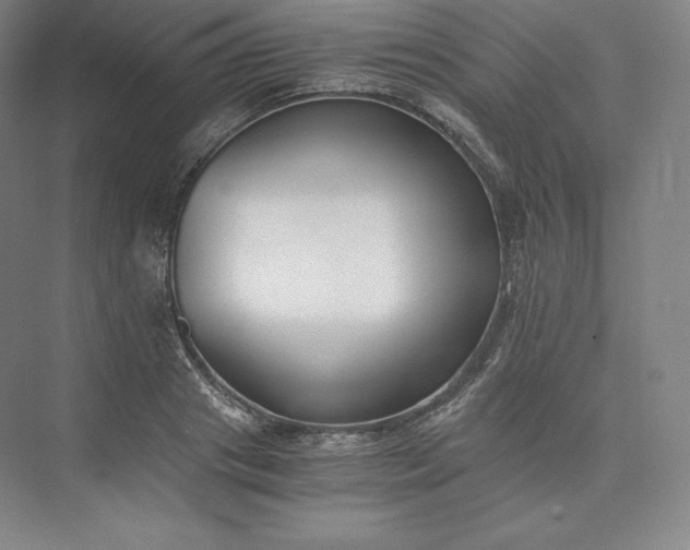 X0000073470841200608111534