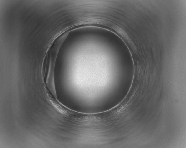 X0000073470842200608111534