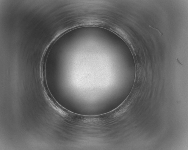 X0000073470843200608111534