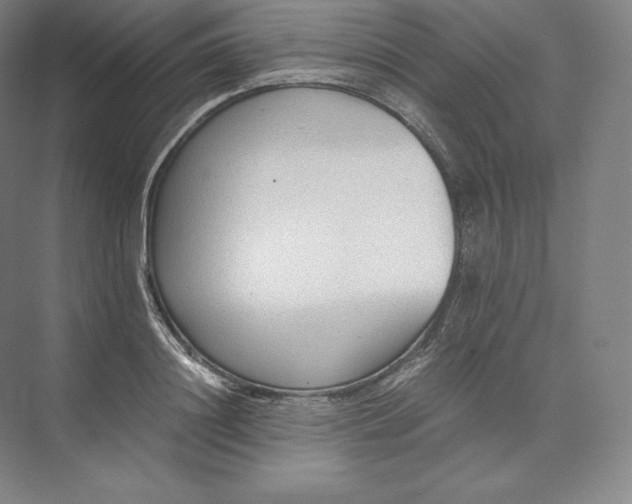 X0000073470844200608111534