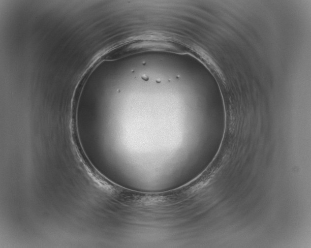 X0000073470845200608111534