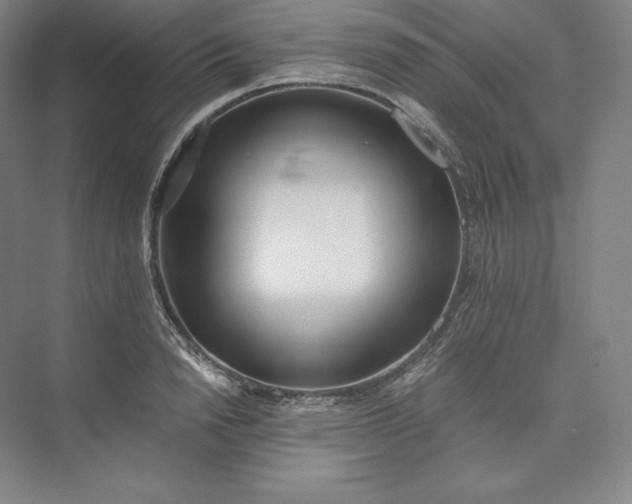 X0000073470846200608111534