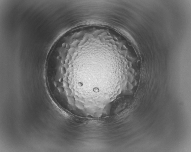 X0000073470847200608111534