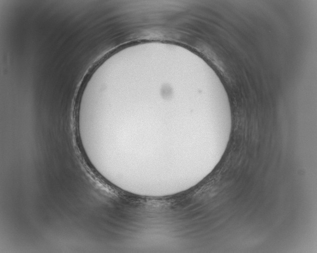 X0000073470848200608111534