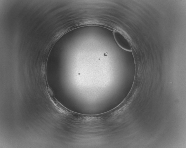 X0000073470849200608111534