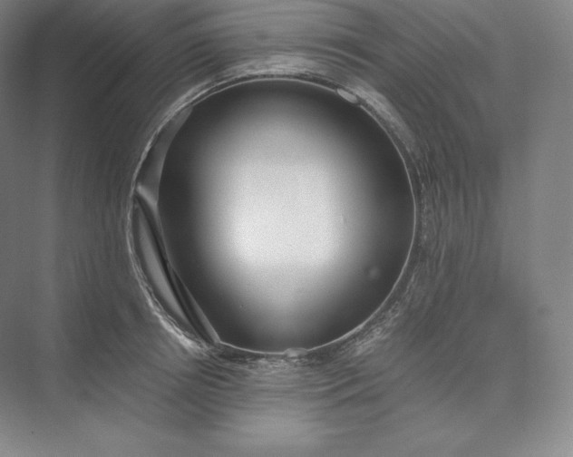 X0000073470850200608111534