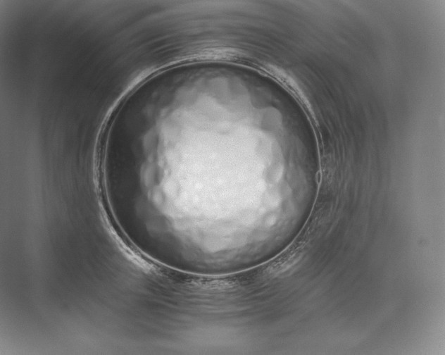 X0000073470851200608111534