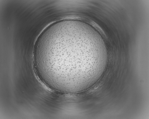 X0000073470852200608111534