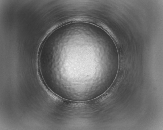 X0000073470853200608111534