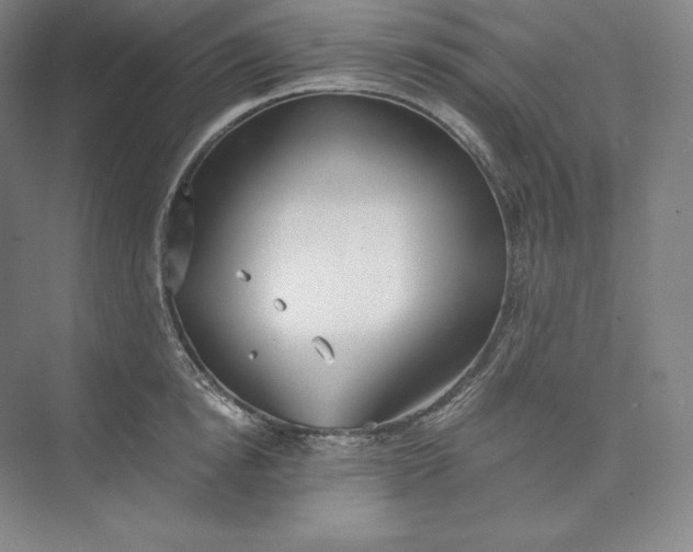 X0000073470854200608111534