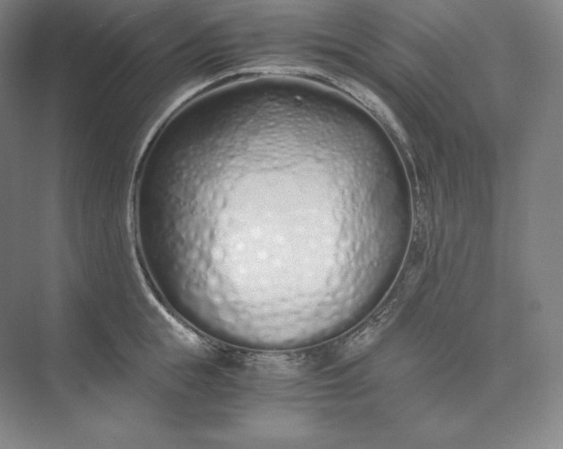 X0000073470855200608111534