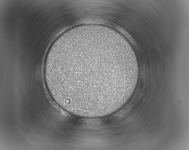 X0000073470856200608111534