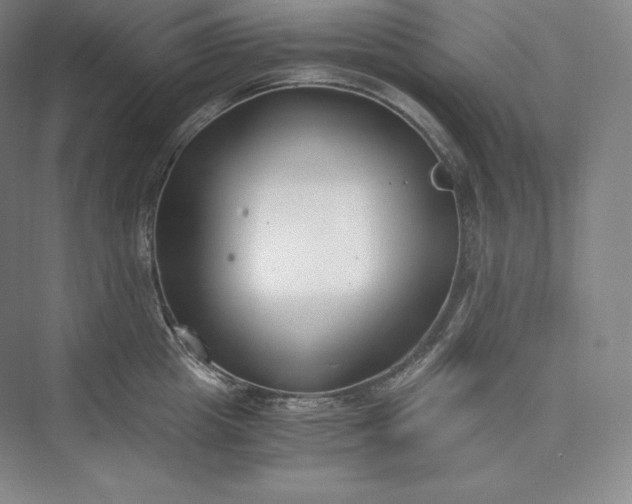 X0000073470857200608111534