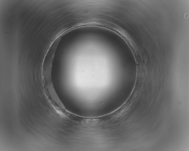 X0000073470858200608111534