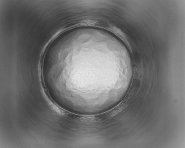 X0000073470859200608111534