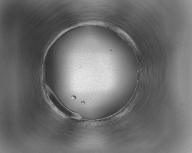 X0000073470860200608111534