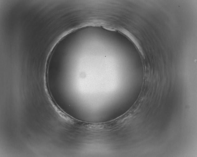 X0000073470861200608111534