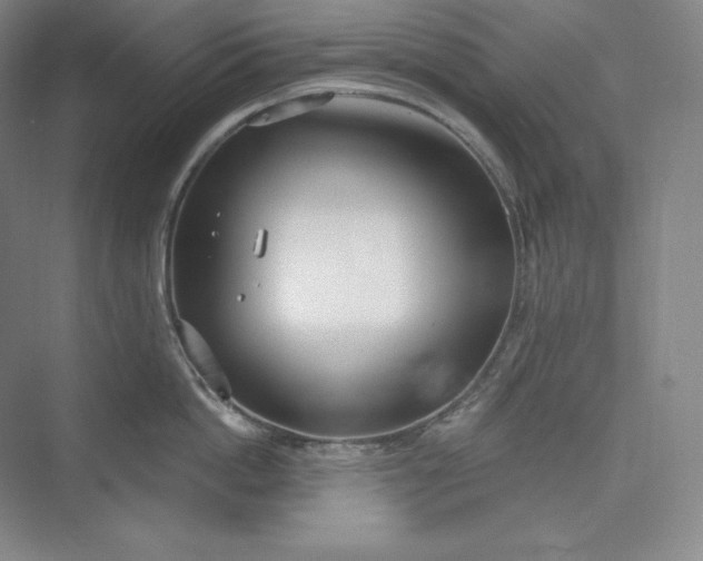 X0000073470862200608111534