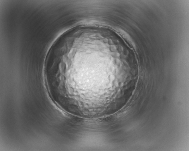 X0000073470863200608111534