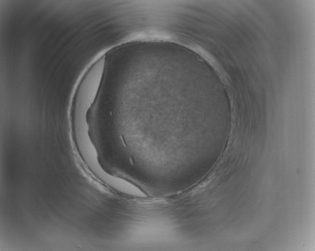 X0000073470864200608111534