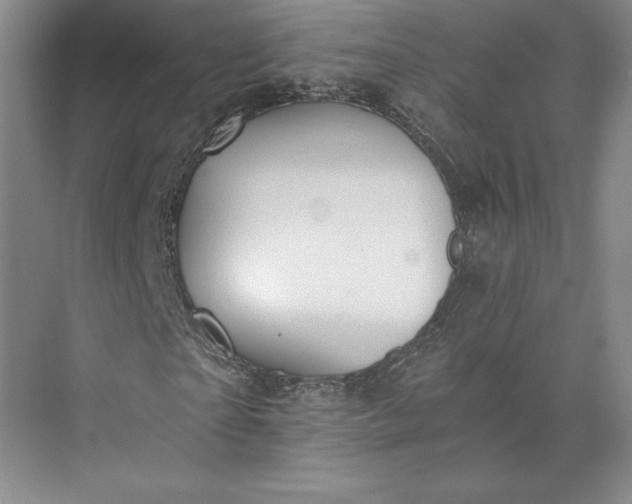 X0000073470865200608111533