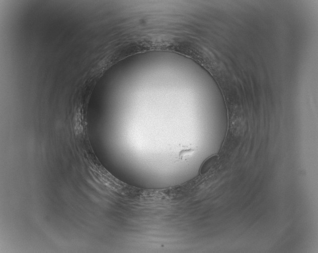 X0000073470866200608111533