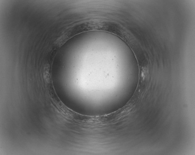 X0000073470867200608111533