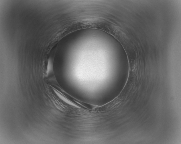 X0000073470868200608111533