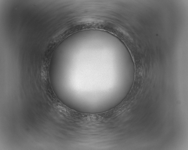 X0000073470869200608111533