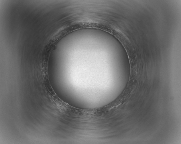 X0000073470870200608111533