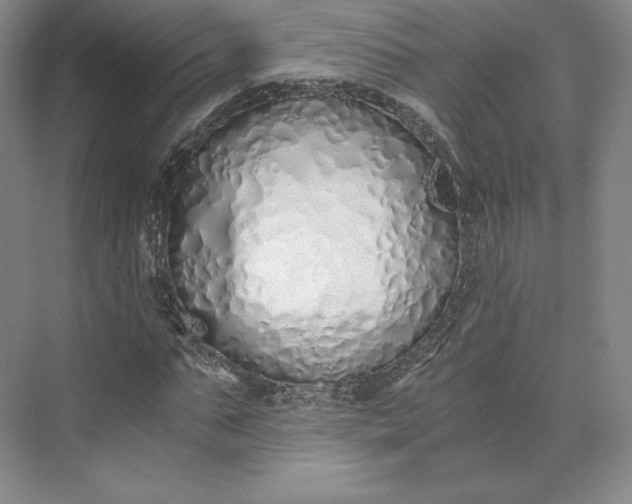 X0000073470871200608111533