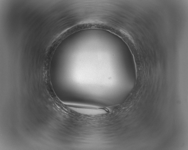 X0000073470872200608111533