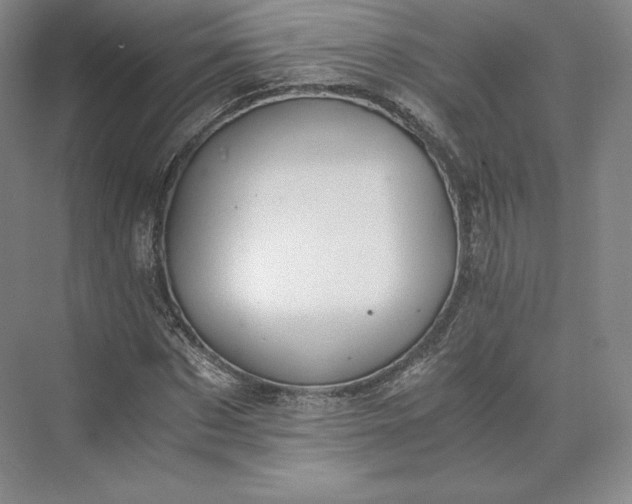 X0000073470873200608111533