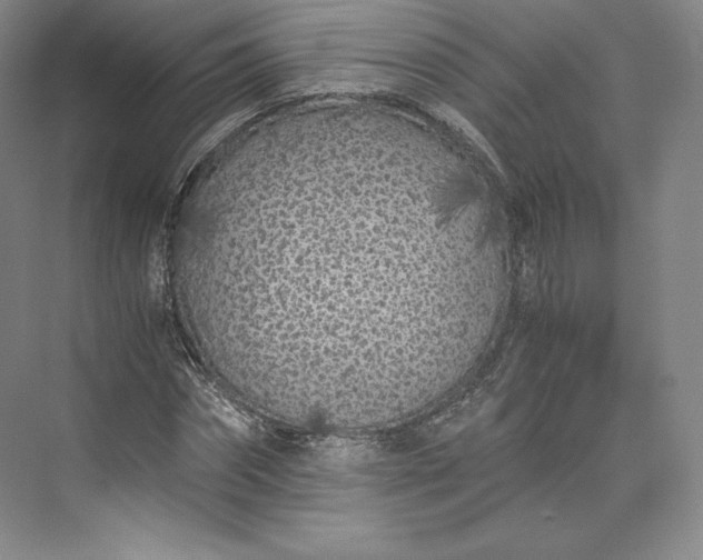 X0000073470874200608111533