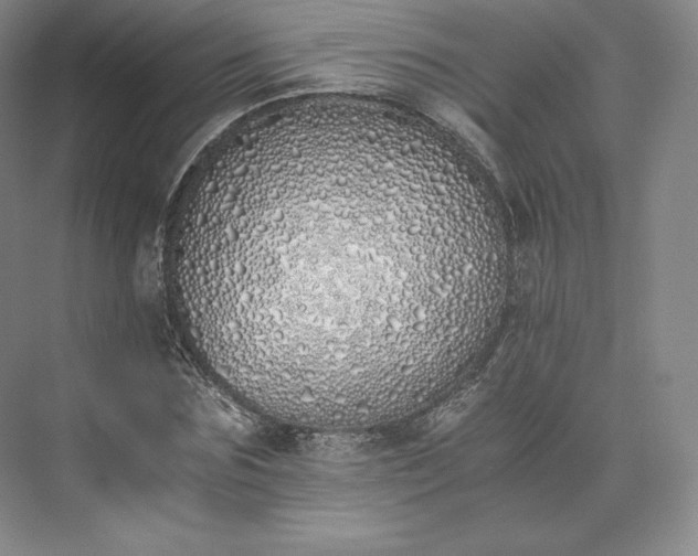 X0000073470875200608111533