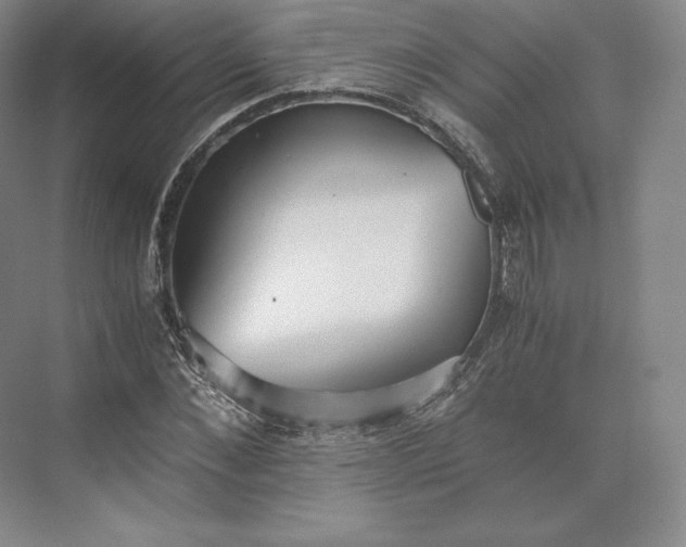 X0000073470876200608111533