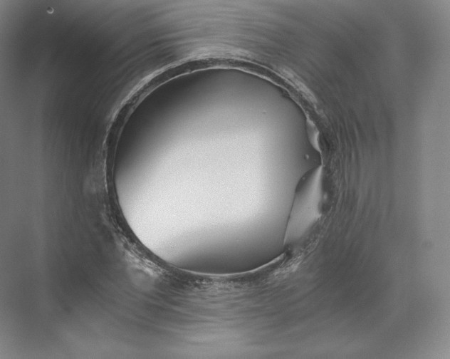 X0000073470877200608111533