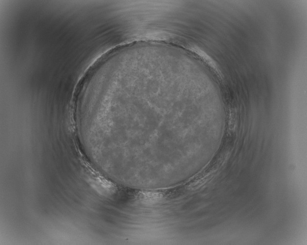 X0000073470878200608111533