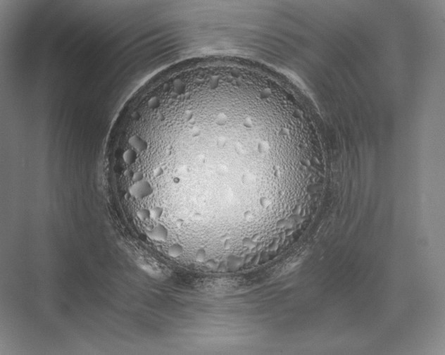 X0000073470879200608111533