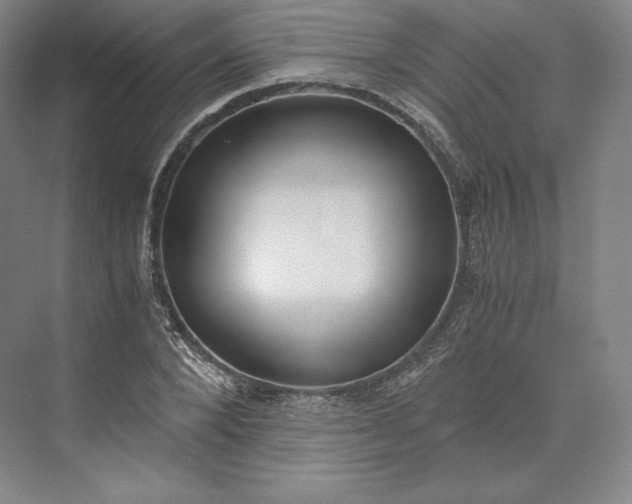 X0000073470880200608111533